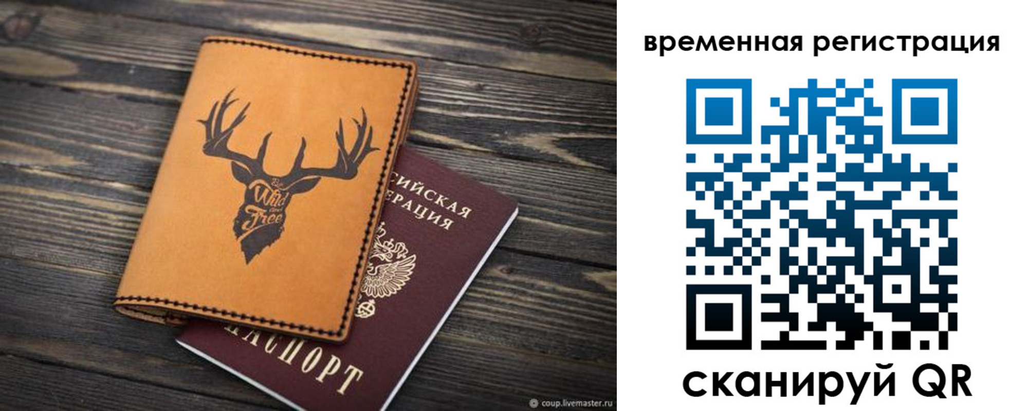 прописка в Новосибирской области